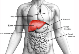 Causes of Hepatitis